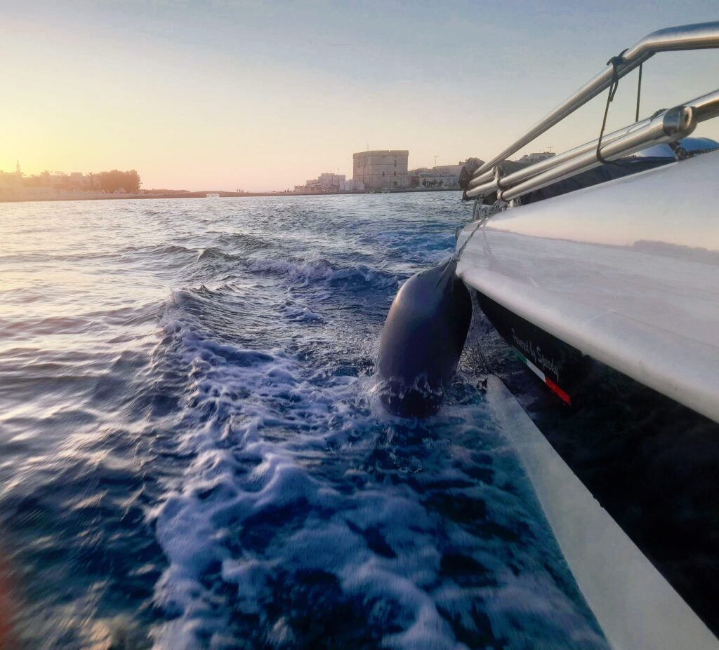 Noleggio barche per eventi a Porto Cesareo